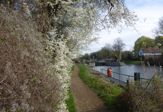 Walk Lake End - Eton Wick 10Mar2026