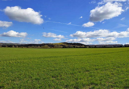 Walk Watlington - Christmas Common 26Mar2026