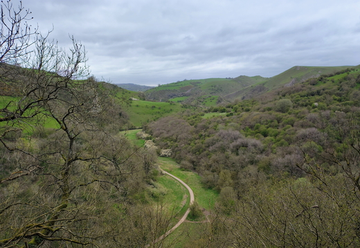 Walk Wetton - Ecton 17Apr2026