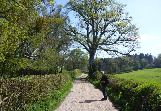 Walk Farnham Common - Hedgerley 22Apr2026