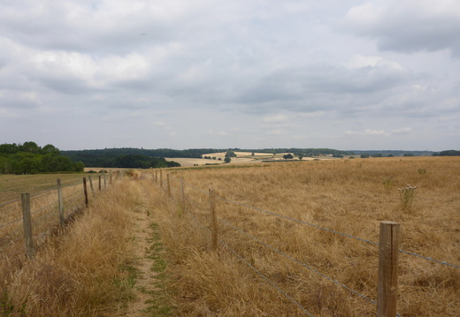 Walk Chalfont St Giles - Seer Green 21Jul2026