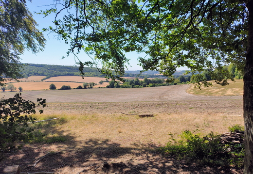 Walk Buckland Wharf - Weston Turville 12Aug2026