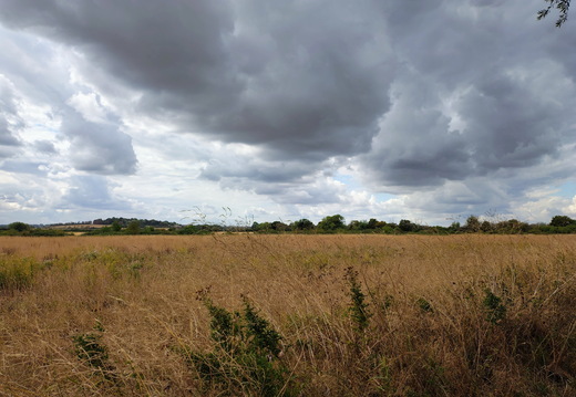 Walk Lechlade - Cricklade 21Aug2026