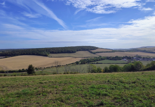 Walk Old Winchester Hill - South Harting 01Sep2026