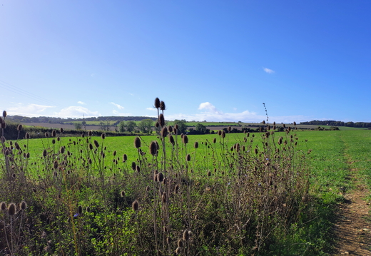 Walk Kilmeston - Cheriton 01Oct2026